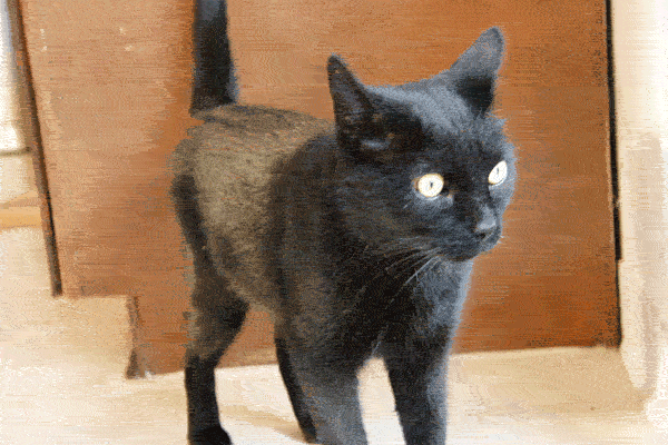 1268517155_583d5a4859_o