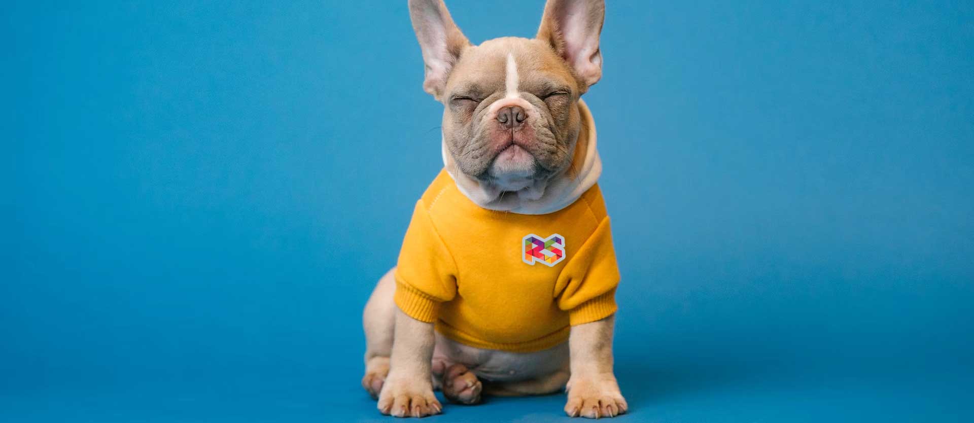 How Crucial Are Backlinks for SEO in 2024?