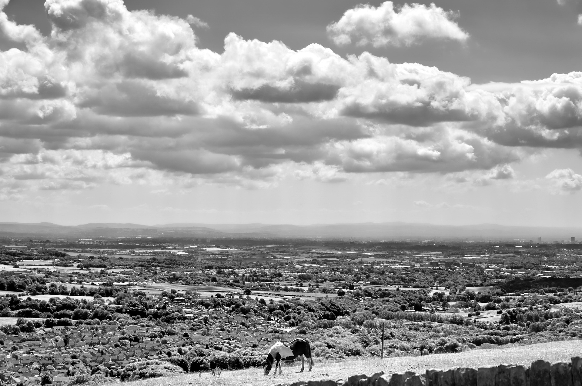 From Invisible to Unstoppable: How Our SEO Services Drive Real Results for Lancashire Businesses